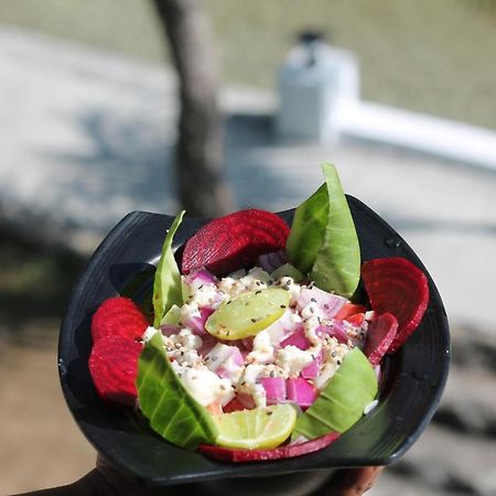 Shivanjal Wellness And Accommodation Rishīkesh Dış mekan fotoğraf