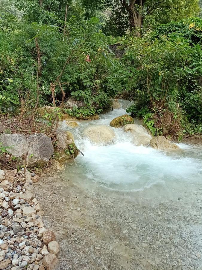 Shivanjal Wellness And Accommodation Rishīkesh Dış mekan fotoğraf
