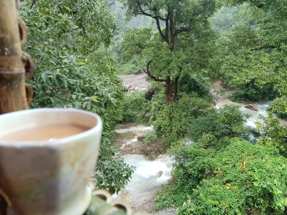 Shivanjal Wellness And Accommodation Rishīkesh Dış mekan fotoğraf